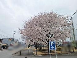 美原公園に行っ...