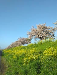 先週行った時は...
