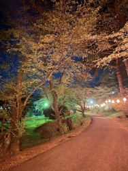 今年もどうして...