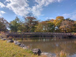 紅葉のとっても...