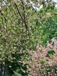 今日は、４月1...