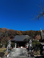 ナビの言う通り...