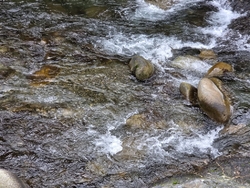 粕尾の街道沿い...