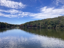 11月最初の土...