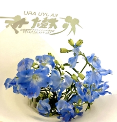 ぽかぽか陽気の...