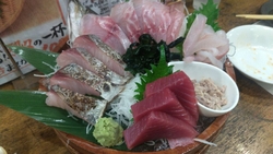 海鮮系の居酒屋...