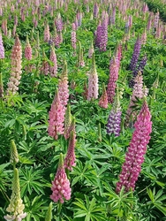 今日は、４月1...