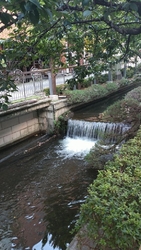 宇都宮市内を流...