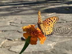 この日も撮影に...