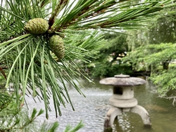 神明宮神社に隣...