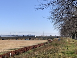 広場の北側を思...