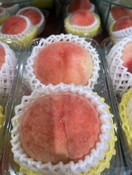 お盆用のフルー...