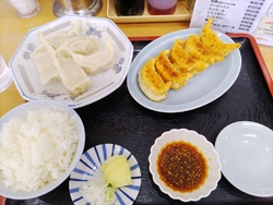 揚げ餃子・水餃...