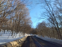 平日、今回も鬼...