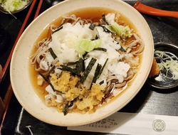 今日は家族で行...