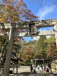 今年は残暑が厳...