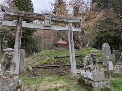 こちらに見事な...