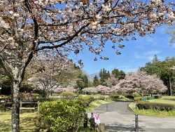この公園は寄っ...