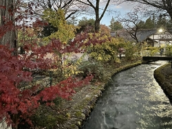 乃木神社と参道...