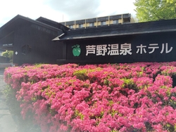 今日は、...