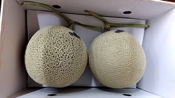 御仏前用のフル...