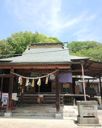 看板猫のひめち...
