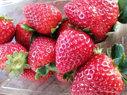 「そすいで買っ...