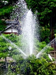 今日は、噴水で...