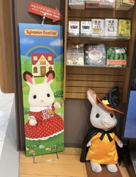 イオンで買い物...