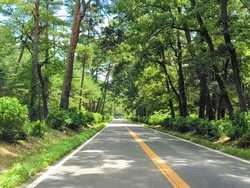 那須高原をドラ...