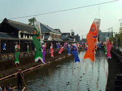 巴波川のこいの...