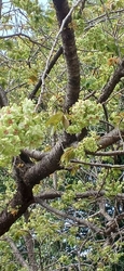 今日は、４月2...