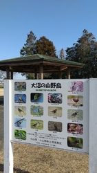 この冬の水不足...