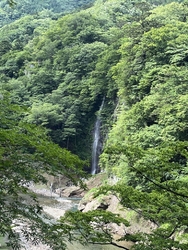 相変わらずうっ...