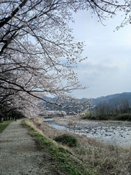 今日は、3月3...