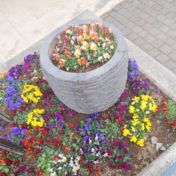 セールが今日か...