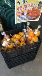 干し柿におすす...