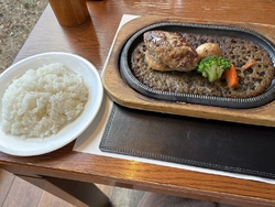 お気に入りのお...