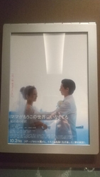 予告の時から観...