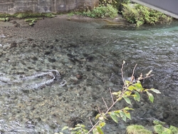 神橋近くの大谷...