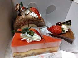 毎年楽しみにし...