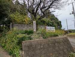 陶器市に行って...