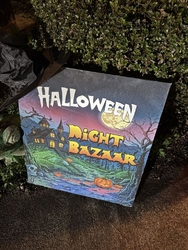 久しぶりのナイ...