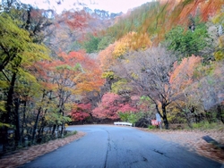 久しぶりにこち...