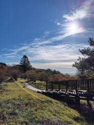 山の駅たかはら...