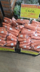 白菜、大根が安...