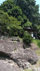 身近に歴史を肌...