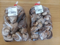 いつもこちらに...