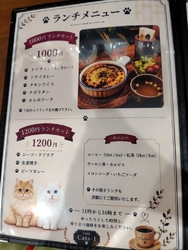 猫好きを自負す...