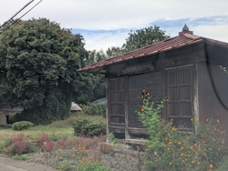 陶器市に行って...